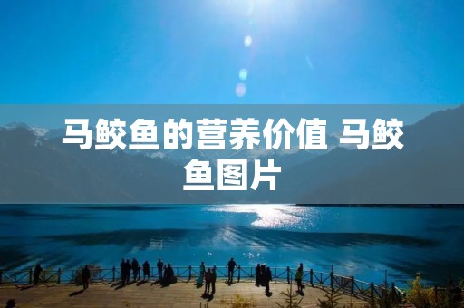 马鲛鱼的营养价值 马鲛鱼图片