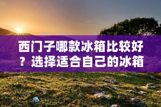 西门子哪款冰箱比较好?选择适合自己的冰箱是每个家庭的重要决策之一。西门子作为一家享誉世界的家电品牌,在冰箱领域也有着出色的表现。本文将为您介绍几款西门子冰箱,并简要分析它们的特点和优势,以帮助您做出明智的购买决策。 西门子哪款冰箱比较好?选择适合自己的冰箱是每个家庭的重要决策之一。西门子作为一家享誉世界的家电品牌,在冰箱领域也有着出色的表现。本文将为您介绍几款西门子冰箱,并简要分析它们的特点和优势,以帮助您做出明智的购买决策。