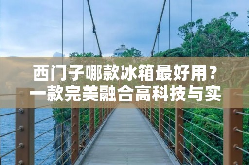 西门子哪款冰箱最好用？一款完美融合高科技与实用性的冰箱