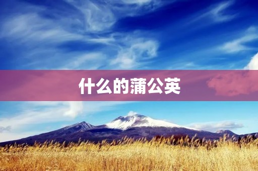 什么的蒲公英