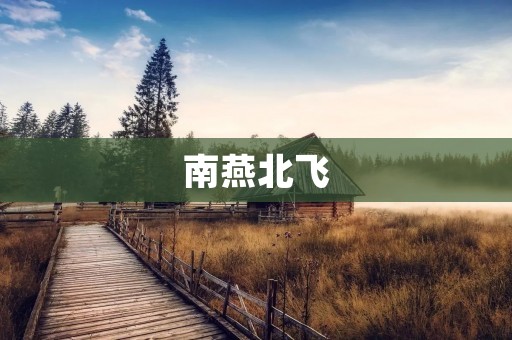 南燕北飞:一段跨越千年的传奇故事