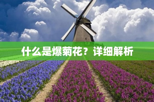 什么是爆菊花?详细解析