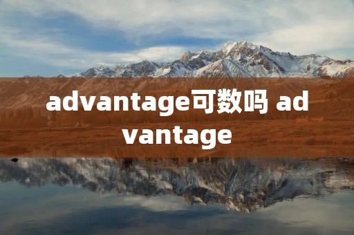 advantage可数吗 advantage