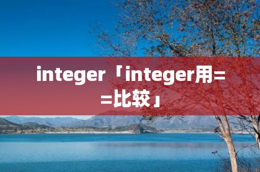 integer「integer用==比较」 integer「integer用==比较」