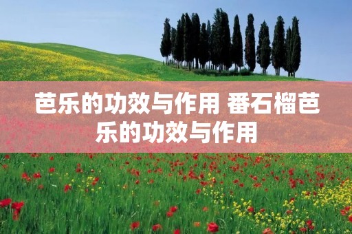 芭乐的功效与作用 番石榴芭乐的功效与作用