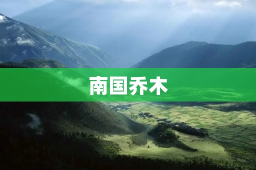 南国乔木:繁茂生机的绿色世界