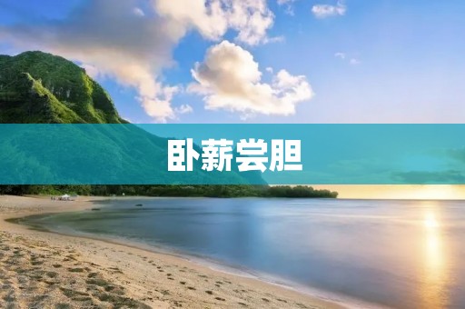 卧薪尝胆:历史人物荀彧的智慧与坚韧