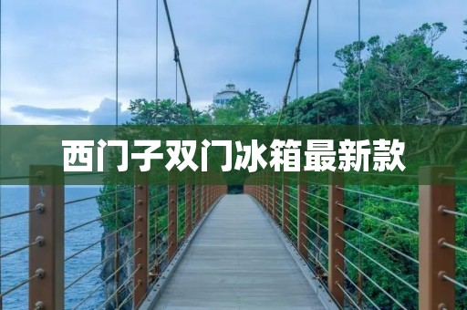 西门子双门冰箱最新款：为您带来智能冷藏新体验