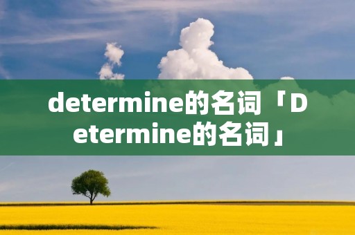 determine的名词「Determine的名词」