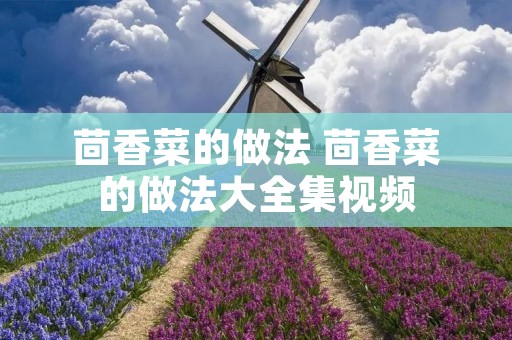 茴香菜的做法 茴香菜的做法大全集视频