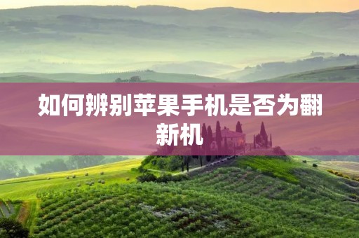如何辨别苹果手机是否为翻新机
