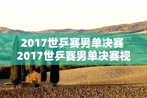 2017世乒赛男单决赛 2017世乒赛男单决赛视频