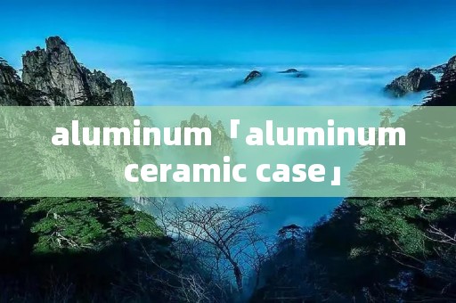 aluminum「aluminum ceramic case」