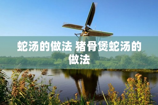 蛇汤的做法 猪骨煲蛇汤的做法