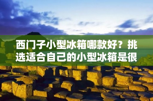 西门子小型冰箱哪款好？挑选适合自己的小型冰箱是很重要的，因为它可以满足我们日常生活的需求，方便存储食物和饮料。在众多品牌中，西门子小型冰箱以其出色的品质和创新的技术而备受消费者的青睐。下面将详细介绍几款西门子小型冰箱，以帮助您做出明智的选择。