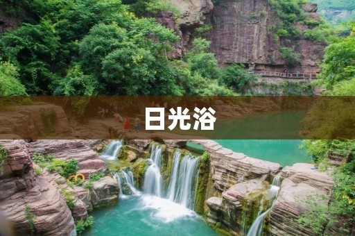 日光浴:拥抱自然光明的健康之旅