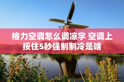 格力空调怎么调凉字 空调上按住5秒强制制冷是啥