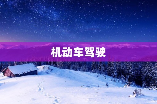 机动车驾驶:探索安全与便利的平衡 机动车驾驶:探索安全与便利的平衡