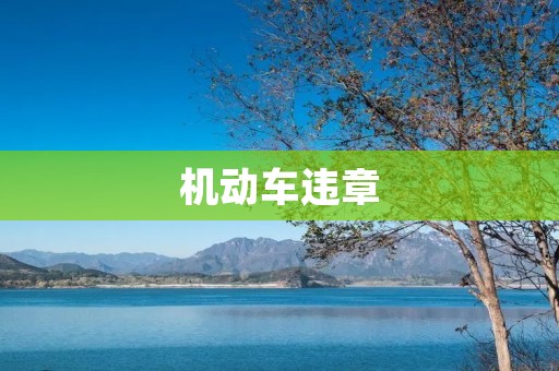 机动车违章:重要性、原因和解决方案
