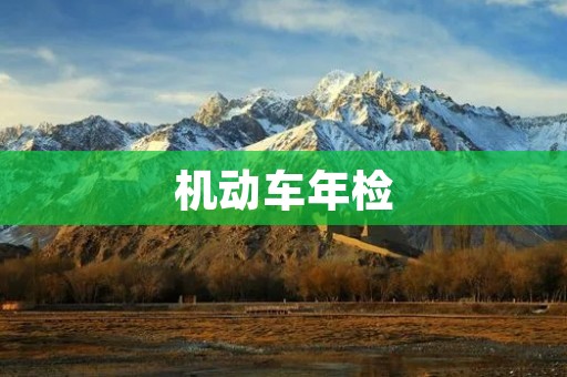 机动车年检:保障行车安全的必要程序 机动车年检:保障行车安全的必要程序
