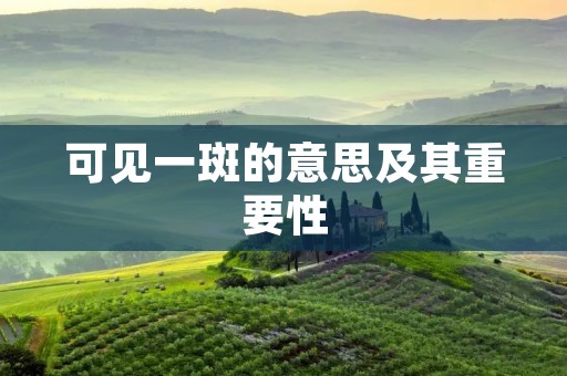 可见一斑的意思及其重要性