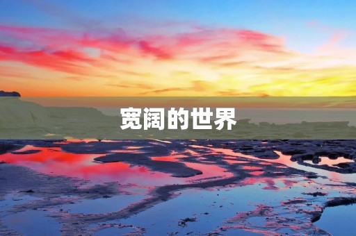 宽阔的世界