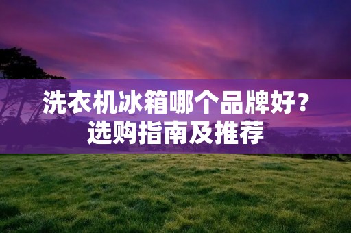 洗衣机冰箱哪个品牌好?选购指南及推荐 洗衣机冰箱哪个品牌好?选购指南及推荐