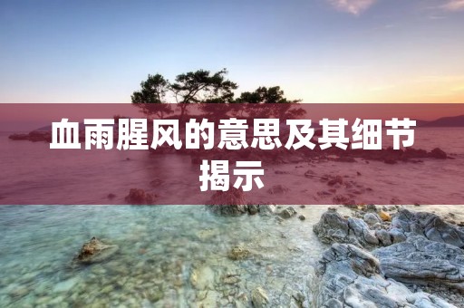 血雨腥风的意思及其细节揭示