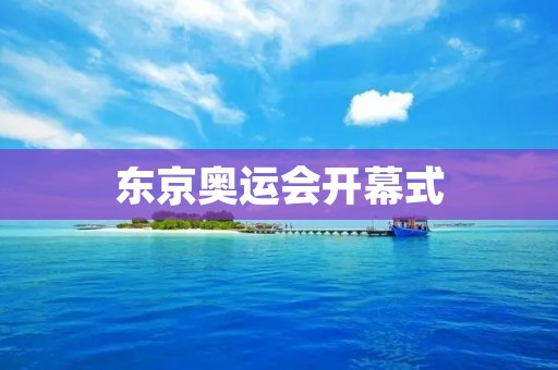 东京奥运会开幕式：寻找观赏地点