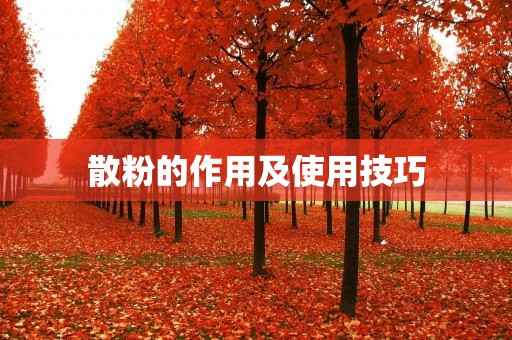 散粉的作用及使用技巧