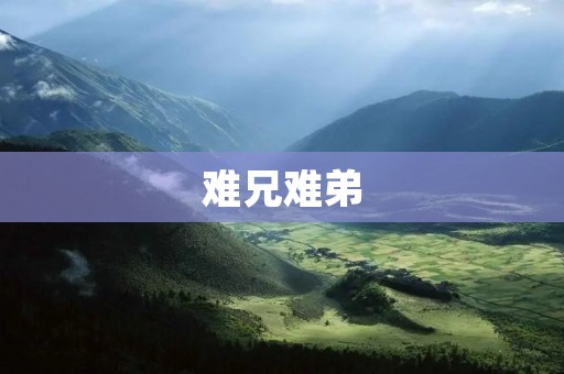 难兄难弟:一段深厚的兄弟情谊