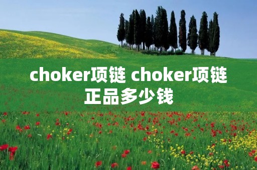 choker项链 choker项链正品多少钱