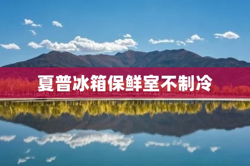 夏普冰箱保鲜室不制冷:问题原因与解决方法 夏普冰箱保鲜室不制冷:问题原因与解决方法