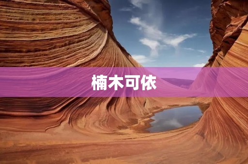 楠木可依:传承千年的珍贵木材