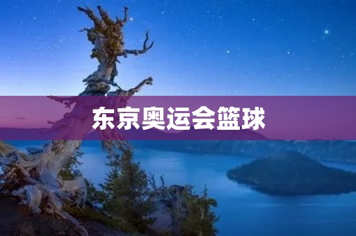 东京奥运会篮球：全球瞩目的体育盛事