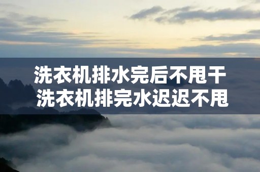 洗衣机排水完后不甩干 洗衣机排完水迟迟不甩水