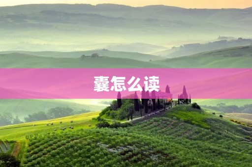 囊怎么读:详解囊的发音及其相关知识