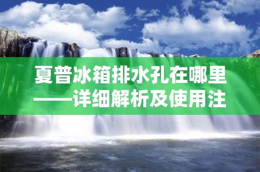 夏普冰箱排水孔在哪里——详细解析及使用注意事项