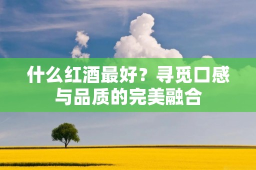 什么红酒最好?寻觅口感与品质的完美融合