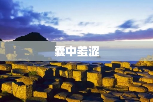 囊中羞涩:当金钱成为束缚的枷锁
