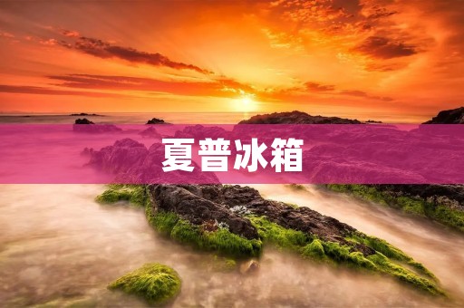夏普冰箱：来自日本的高品质冰箱品牌