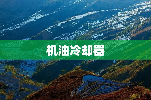 机油冷却器:为发动机提供稳定的温度控制