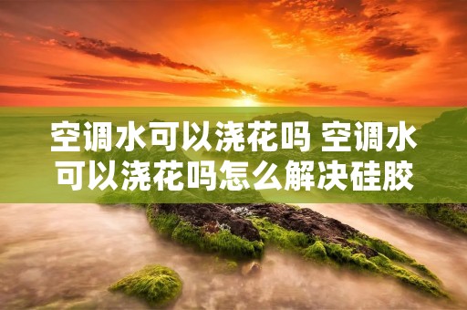 空调水可以浇花吗 空调水可以浇花吗怎么解决硅胶出油
