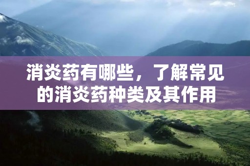 消炎药有哪些,了解常见的消炎药种类及其作用