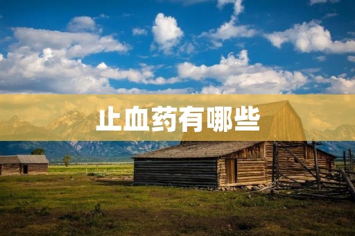 止血药有哪些:详细介绍及使用注意事项