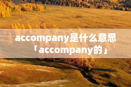 accompany是什么意思「accompany的」