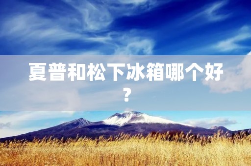 夏普和松下冰箱哪个好? 夏普和松下冰箱哪个好?