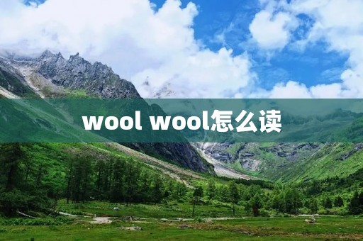 wool wool怎么读