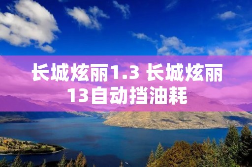长城炫丽1.3 长城炫丽13自动挡油耗