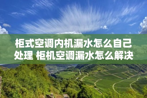 柜式空调内机漏水怎么自己处理 柜机空调漏水怎么解决内机漏水怎么办 柜式空调内机漏水怎么自己处理 柜机空调漏水怎么解决内机漏水怎么办